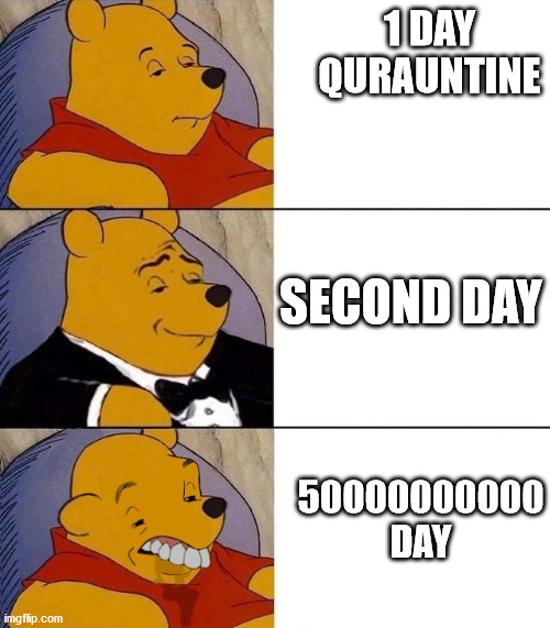 quaruantine | 1 DAY QURAUNTINE; SECOND DAY; 50000000000 DAY | image tagged in best better blurst | made w/ Imgflip meme maker