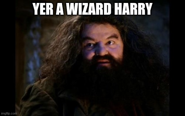 WIZRD | YER A WIZARD HARRY | image tagged in harry potter | made w/ Imgflip meme maker