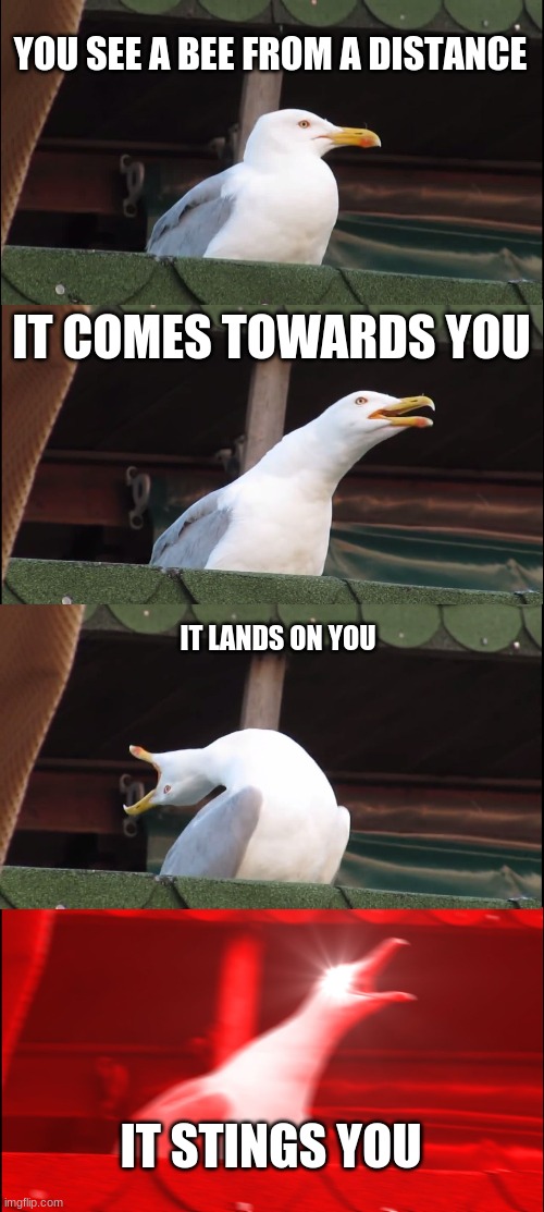 bee | YOU SEE A BEE FROM A DISTANCE; IT COMES TOWARDS YOU; IT LANDS ON YOU; IT STINGS YOU | image tagged in memes,inhaling seagull | made w/ Imgflip meme maker