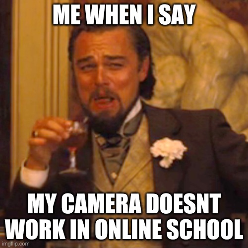 yay | ME WHEN I SAY; MY CAMERA DOESNT WORK IN ONLINE SCHOOL | image tagged in memes,laughing leo | made w/ Imgflip meme maker