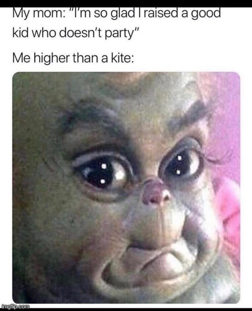 lol | image tagged in funny,memes,the grinch,funny memes | made w/ Imgflip meme maker