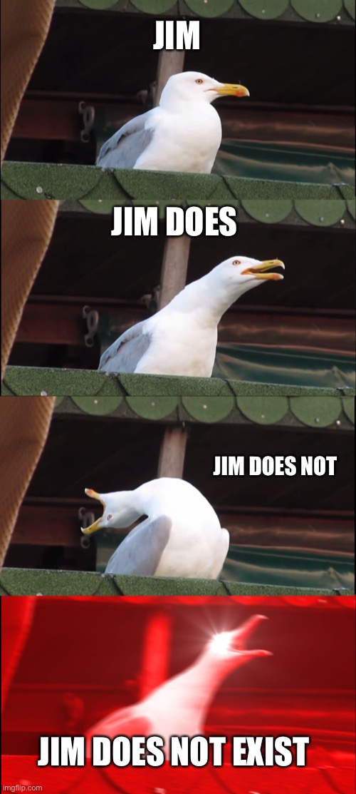 Jim seagull | JIM; JIM DOES; JIM DOES NOT; JIM DOES NOT EXIST | image tagged in memes,inhaling seagull | made w/ Imgflip meme maker