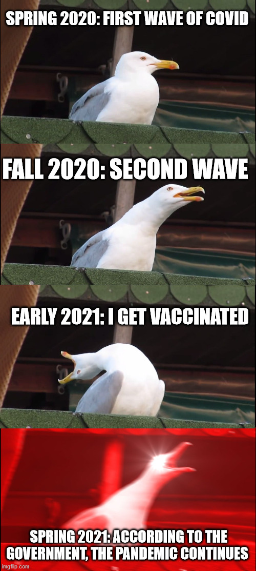 Is it a pigeon? | SPRING 2020: FIRST WAVE OF COVID; FALL 2020: SECOND WAVE; EARLY 2021: I GET VACCINATED; SPRING 2021: ACCORDING TO THE GOVERNMENT, THE PANDEMIC CONTINUES | image tagged in memes,inhaling seagull,covid,government,vaccination | made w/ Imgflip meme maker