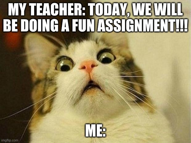 Seriously, are they ever fun or are they worse than normal | MY TEACHER: TODAY, WE WILL BE DOING A FUN ASSIGNMENT!!! ME: | image tagged in memes,scared cat | made w/ Imgflip meme maker