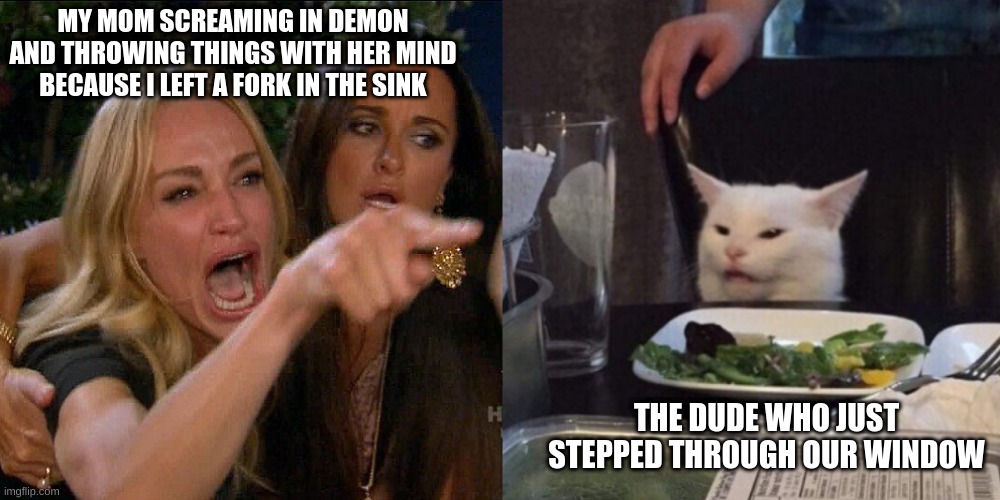 Woman yelling at cat | MY MOM SCREAMING IN DEMON AND THROWING THINGS WITH HER MIND BECAUSE I LEFT A FORK IN THE SINK; THE DUDE WHO JUST STEPPED THROUGH OUR WINDOW | image tagged in woman yelling at cat | made w/ Imgflip meme maker