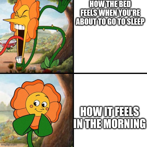 i just want to sleep comfortable for once |  HOW THE BED FEELS WHEN YOU'RE ABOUT TO GO TO SLEEP; HOW IT FEELS IN THE MORNING | image tagged in angry flower | made w/ Imgflip meme maker