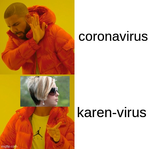 The worst virus ever created |  coronavirus; karen-virus | image tagged in memes,drake hotline bling | made w/ Imgflip meme maker