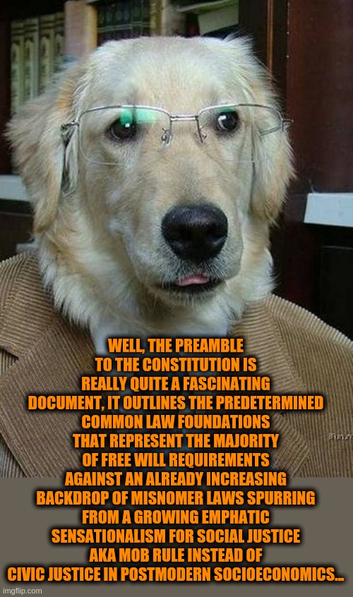 School Dog | WELL, THE PREAMBLE TO THE CONSTITUTION IS REALLY QUITE A FASCINATING DOCUMENT, IT OUTLINES THE PREDETERMINED COMMON LAW FOUNDATIONS THAT REPRESENT THE MAJORITY OF FREE WILL REQUIREMENTS AGAINST AN ALREADY INCREASING BACKDROP OF MISNOMER LAWS SPURRING FROM A GROWING EMPHATIC SENSATIONALISM FOR SOCIAL JUSTICE AKA MOB RULE INSTEAD OF CIVIC JUSTICE IN POSTMODERN SOCIOECONOMICS... | image tagged in dog glasses | made w/ Imgflip meme maker