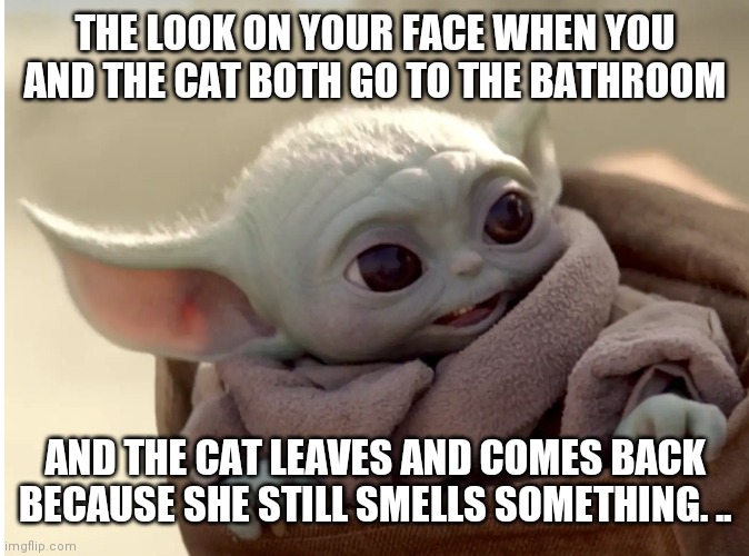 Baby Yoda and the Cat | THE LOOK ON YOUR FACE WHEN YOU AND THE CAT BOTH GO TO THE BATHROOM; AND THE CAT LEAVES AND COMES BACK BECAUSE SHE STILL SMELLS SOMETHING. .. | image tagged in baby yoda | made w/ Imgflip meme maker