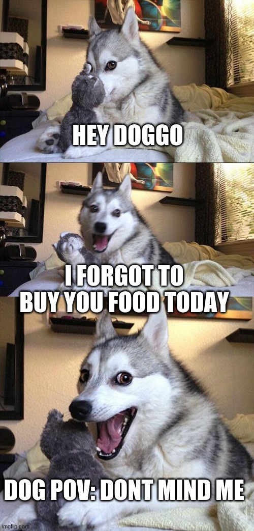 Dog gonna eat | HEY DOGGO; I FORGOT TO BUY YOU FOOD TODAY; DOG POV: DONT MIND ME | image tagged in memes | made w/ Imgflip meme maker