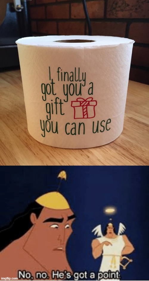 The first ever useful gift I got!!! | image tagged in no no he's got a point,memes,funny,toilet paper | made w/ Imgflip meme maker