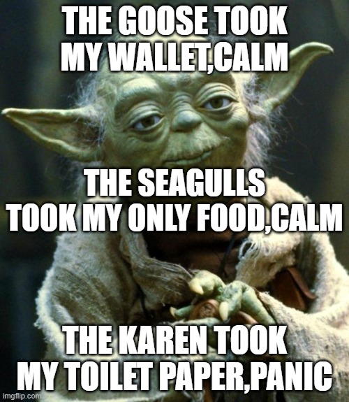Star Wars Yoda | THE GOOSE TOOK MY WALLET,CALM; THE SEAGULLS TOOK MY ONLY FOOD,CALM; THE KAREN TOOK MY TOILET PAPER,PANIC | image tagged in memes,star wars yoda | made w/ Imgflip meme maker