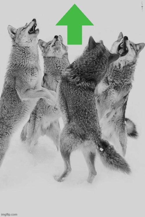 Wolves Upvote | image tagged in wolves upvote | made w/ Imgflip meme maker