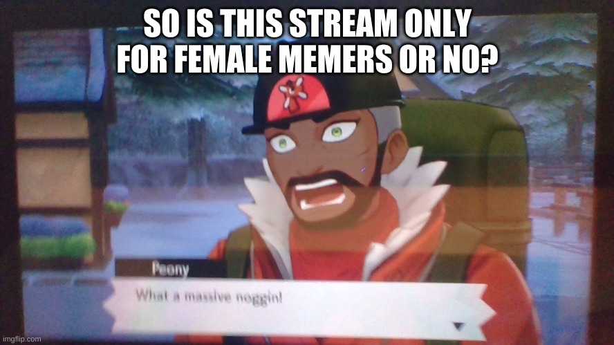 Just a random question I have | SO IS THIS STREAM ONLY FOR FEMALE MEMERS OR NO? | image tagged in what a massive noggin | made w/ Imgflip meme maker