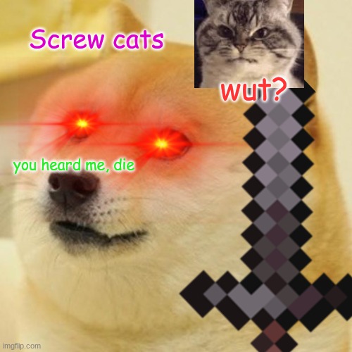 Screw cats; wut? you heard me, die | image tagged in doge | made w/ Imgflip meme maker