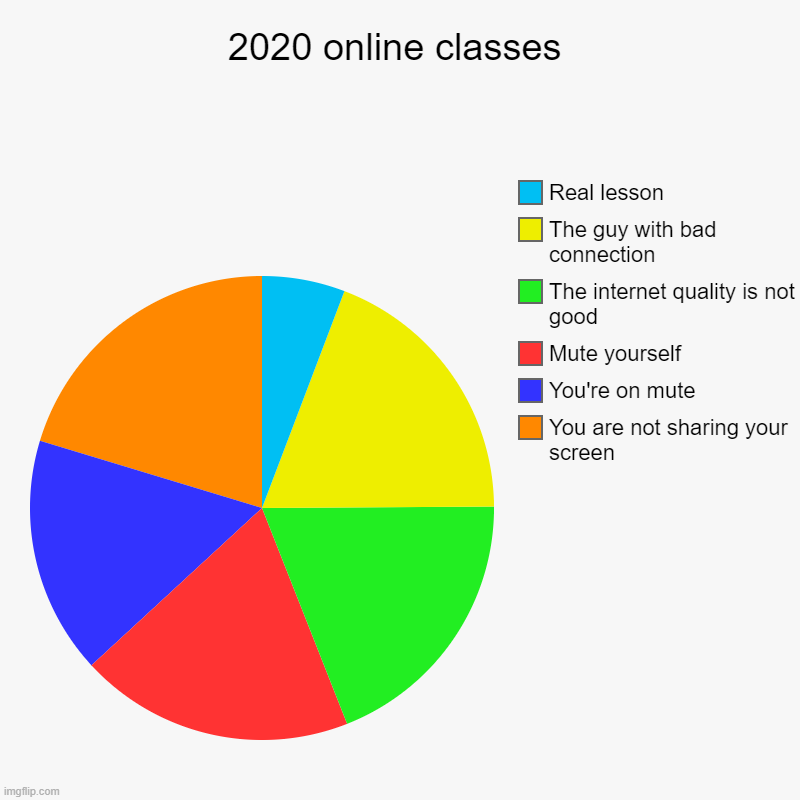 2020 online classes | 2020 online classes | You are not sharing your screen, You're on mute, Mute yourself, The internet quality is not good, The guy with bad con | image tagged in charts,pie charts,2020,online school,lesson | made w/ Imgflip chart maker