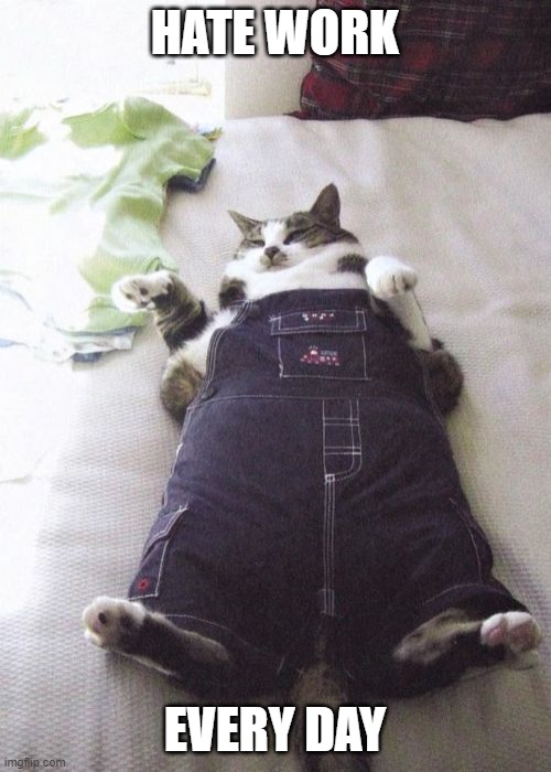 Fat Cat | HATE WORK; EVERY DAY | image tagged in memes,fat cat | made w/ Imgflip meme maker
