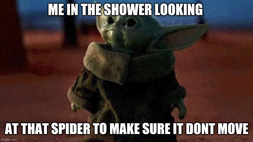 ME IN THE SHOWER LOOKING; AT THAT SPIDER TO MAKE SURE IT DONT MOVE | image tagged in baby yoda | made w/ Imgflip meme maker