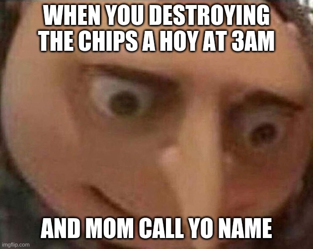 grab my sandal | WHEN YOU DESTROYING THE CHIPS A HOY AT 3AM; AND MOM CALL YO NAME | image tagged in gru meme | made w/ Imgflip meme maker