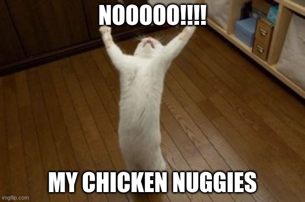 nooo | NOOOOO!!!! MY CHICKEN NUGGIES | image tagged in why why why funny cat | made w/ Imgflip meme maker