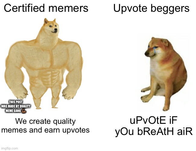 What are you? | Certified memers; Upvote beggers; THIS POST WAS MADE BY QUALITY MEME GANG 💪🏾; We create quality memes and earn upvotes; uPvOtE iF yOu bReAtH aiR | image tagged in memes,buff doge vs cheems | made w/ Imgflip meme maker