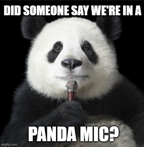 Panda Mic | DID SOMEONE SAY WE'RE IN A; PANDA MIC? | image tagged in panda,pandemic,covid,covid-19,pandamic,2020 | made w/ Imgflip meme maker