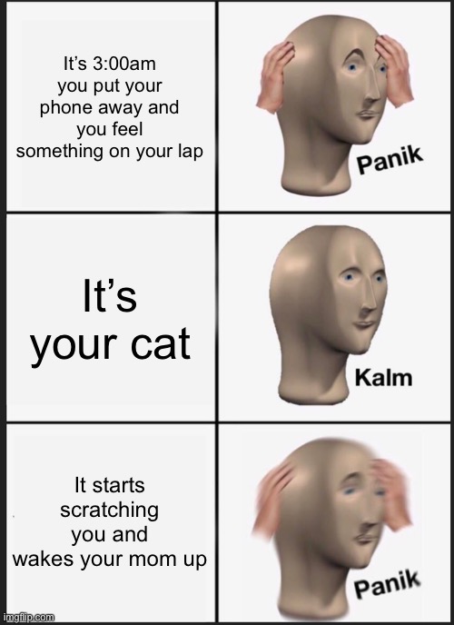 My cat | It’s 3:00am you put your phone away and you feel something on your lap; It’s your cat; It starts scratching you and wakes your mom up | image tagged in memes,panik kalm panik | made w/ Imgflip meme maker