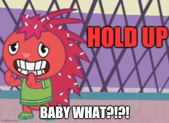 Hold up Flaky (HTF) | BABY WHAT?!?! | image tagged in hold up flaky htf | made w/ Imgflip meme maker