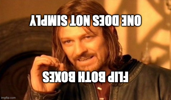 One Does Not Simply Meme | ONE DOES NOT SIMPLY FLIP BOTH BOXES | image tagged in memes,one does not simply | made w/ Imgflip meme maker