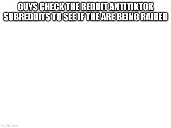 Blank White Template | GUYS CHECK THE REDDIT ANTITIKTOK SUBREDDITS TO SEE IF THE ARE BEING RAIDED | image tagged in blank white template | made w/ Imgflip meme maker