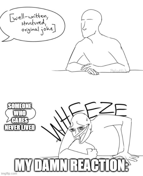Wheeze | SOMEONE WHO CARES NEVER LIVED MY DAMN REACTION: | image tagged in wheeze | made w/ Imgflip meme maker