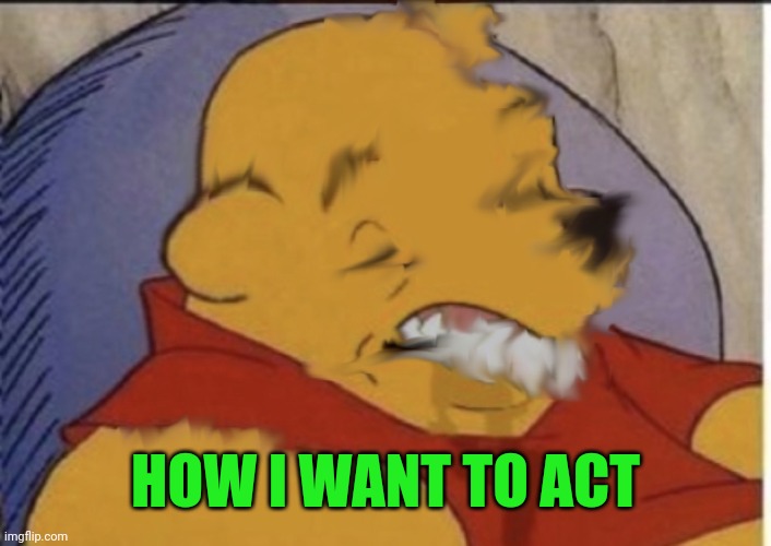 pooh imgflip stage | HOW I WANT TO ACT | image tagged in pooh imgflip stage | made w/ Imgflip meme maker