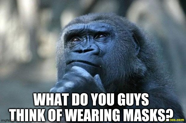 Deep Thoughts |  WHAT DO YOU GUYS THINK OF WEARING MASKS? | image tagged in deep thoughts | made w/ Imgflip meme maker