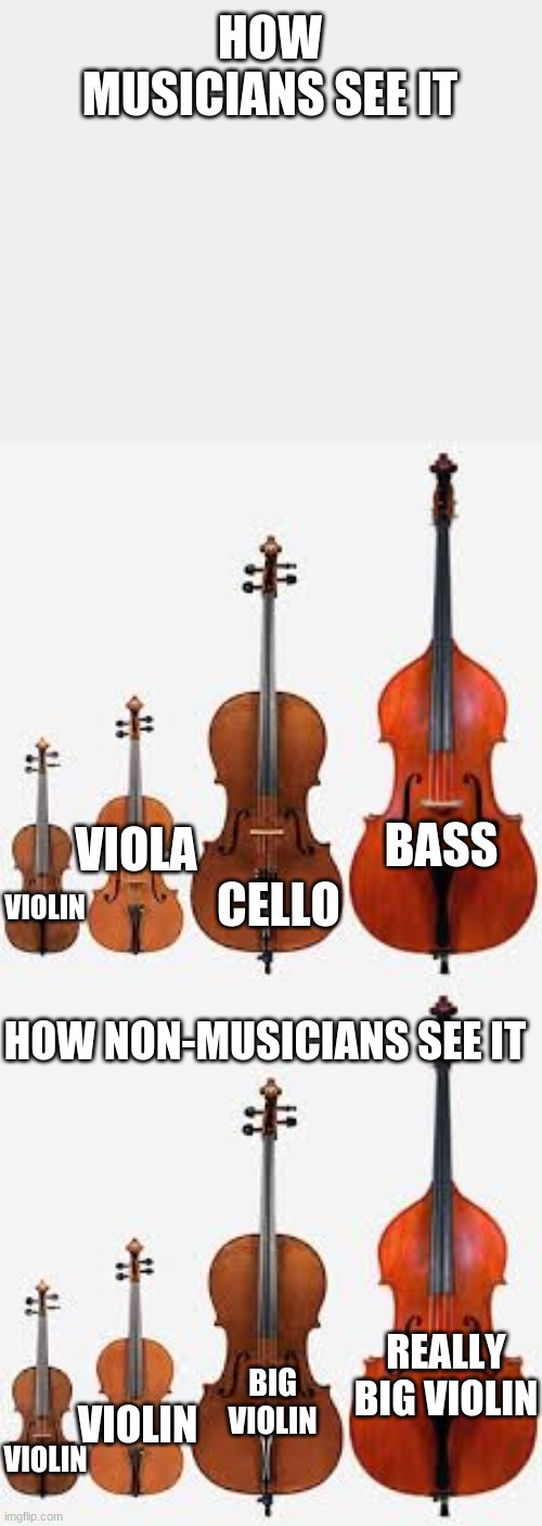 HOW MUSICIANS SEE IT; BASS; VIOLA; VIOLIN; CELLO; HOW NON-MUSICIANS SEE IT; REALLY BIG VIOLIN; BIG VIOLIN; VIOLIN; VIOLIN | image tagged in instruments | made w/ Imgflip meme maker