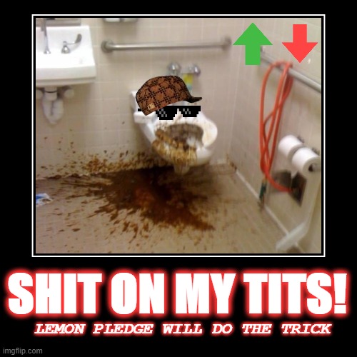 Shit on my tits | image tagged in funny,demotivationals | made w/ Imgflip demotivational maker
