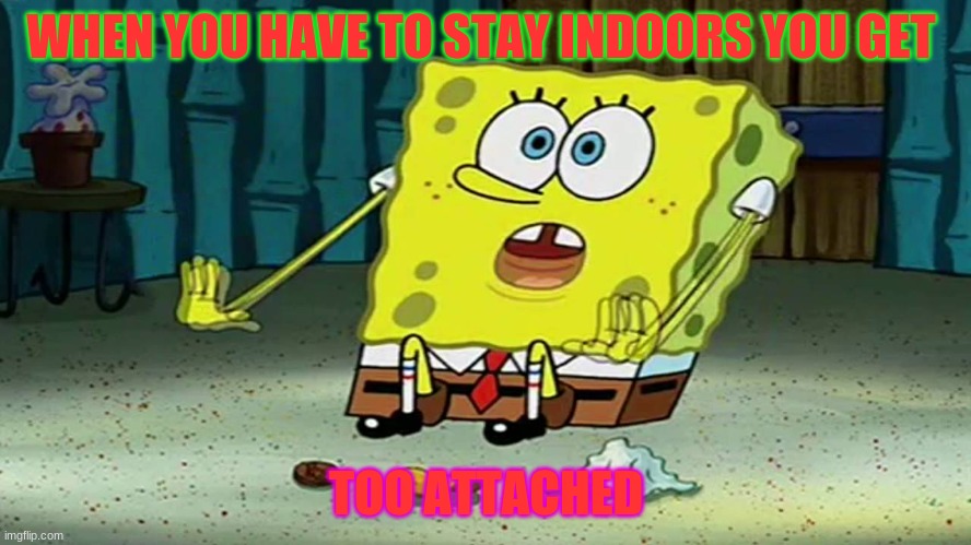 COVID-19 | WHEN YOU HAVE TO STAY INDOORS YOU GET; TOO ATTACHED | image tagged in memes | made w/ Imgflip meme maker