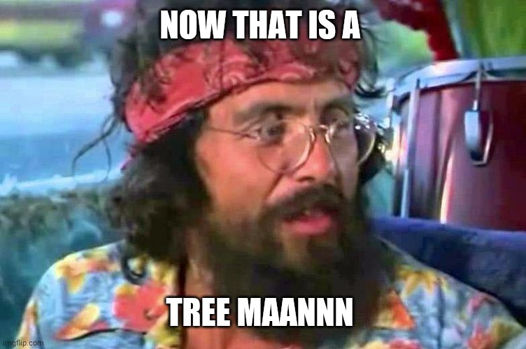 Tommy Chong | NOW THAT IS A TREE MAANNN | image tagged in tommy chong | made w/ Imgflip meme maker