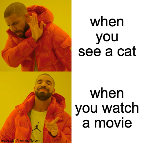 That makes no sense but idk | when you see a cat; when you watch a movie | image tagged in memes,drake hotline bling | made w/ Imgflip meme maker