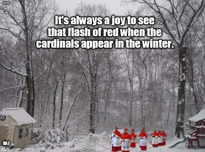 Cardinals in winter | 12/16/2020; BAJ | image tagged in cardinals,winter,joy | made w/ Imgflip meme maker
