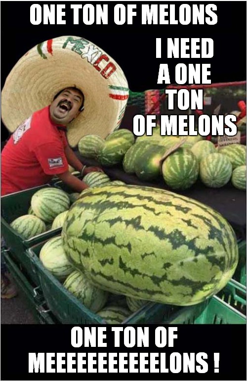 Guantanamera Misheard Lyrics | I NEED A ONE TON OF MELONS; ONE TON OF MELONS; ONE TON OF MEEEEEEEEEEELONS ! | image tagged in fun,misheard lyrics,frontpage | made w/ Imgflip meme maker