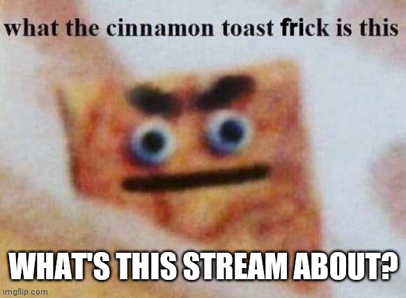 what the cinnamon toast frick is this | WHAT'S THIS STREAM ABOUT? | image tagged in what the cinnamon toast frick is this | made w/ Imgflip meme maker