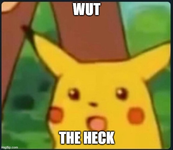 WUT THE HECK | image tagged in surprised pikachu | made w/ Imgflip meme maker