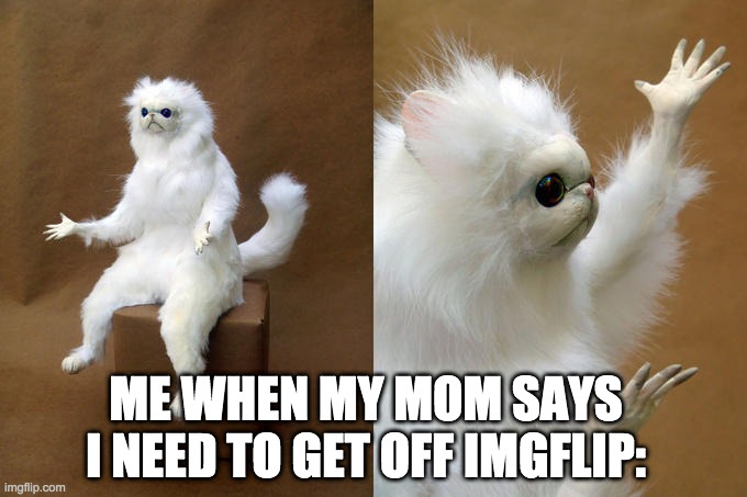 Persian Cat Room Guardian |  ME WHEN MY MOM SAYS I NEED TO GET OFF IMGFLIP: | image tagged in memes,persian cat room guardian | made w/ Imgflip meme maker