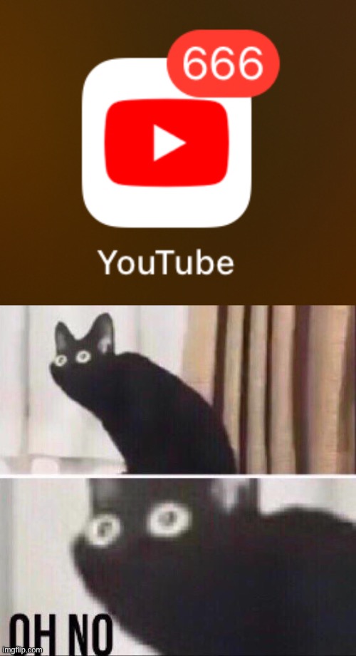 Evil YouTube | image tagged in memes,evil,youtube,cat | made w/ Imgflip meme maker