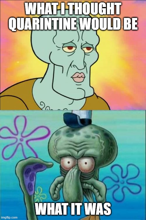 Squidward | WHAT I THOUGHT QUARINTINE WOULD BE; WHAT IT WAS | image tagged in memes,squidward | made w/ Imgflip meme maker