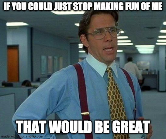 The meme says: | IF YOU COULD JUST STOP MAKING FUN OF ME; THAT WOULD BE GREAT | image tagged in memes,that would be great | made w/ Imgflip meme maker