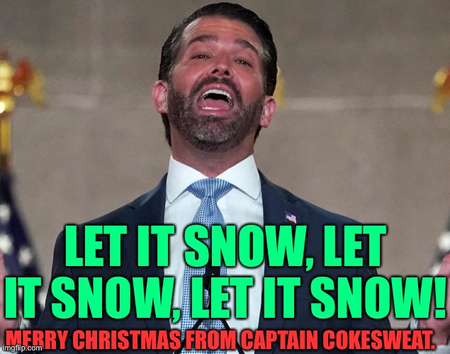 Donnie jnr coke fiend | LET IT SNOW, LET IT SNOW, LET IT SNOW! MERRY CHRISTMAS FROM CAPTAIN COKESWEAT. | image tagged in donald trump,donald trump jr | made w/ Imgflip meme maker