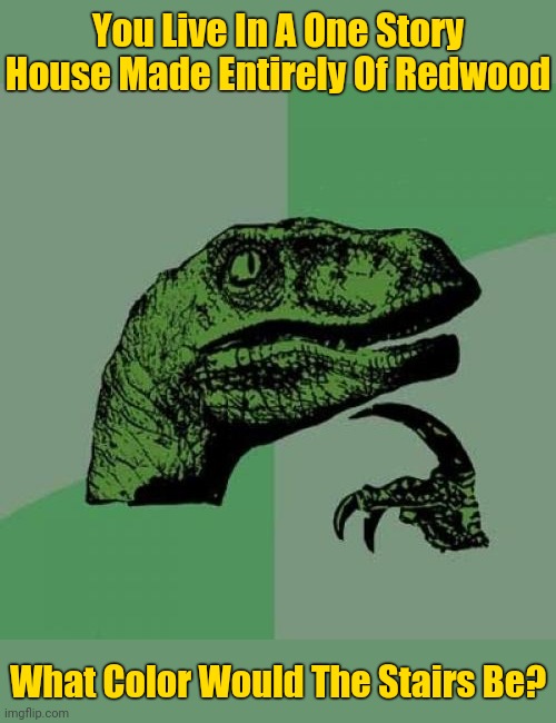 What color?? | You Live In A One Story House Made Entirely Of Redwood; What Color Would The Stairs Be? | image tagged in memes,philosoraptor,riddles and brainteasers | made w/ Imgflip meme maker