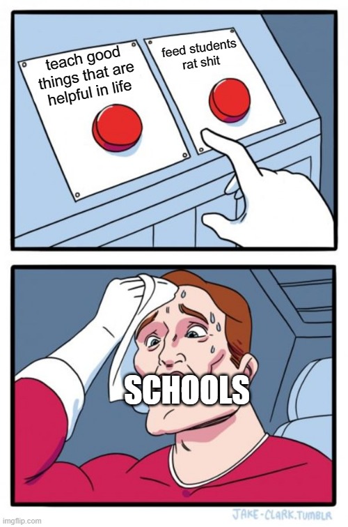 Two Buttons | feed students rat shit; teach good things that are helpful in life; SCHOOLS | image tagged in memes,two buttons | made w/ Imgflip meme maker