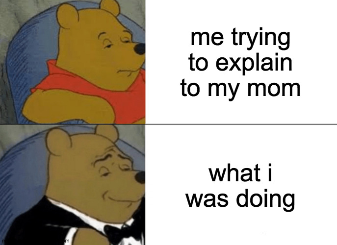 random | me trying to explain to my mom; what i was doing | image tagged in memes,tuxedo winnie the pooh | made w/ Imgflip meme maker